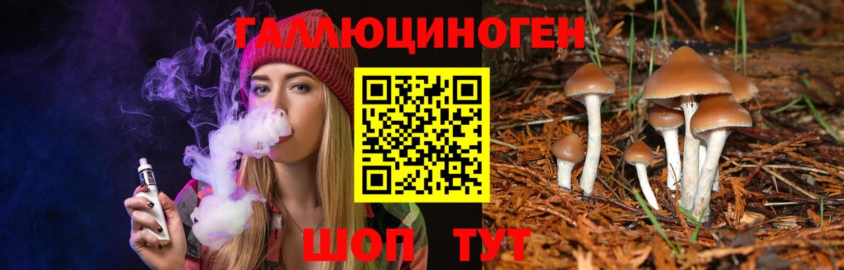 где продают   Псилоцибиновые грибы ЛСД  Вход с VPN  Галлюциногенные грибы GOLDEN TEACHER  Елабуга 